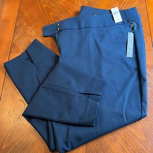 LOFT Marissa Skinny Pants size 22